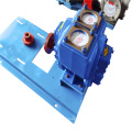 Large flow explosion-proof gear oil pump, gasoline and diesel loading and unloading oil pump